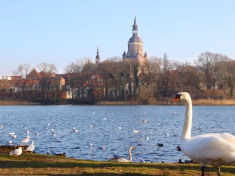 stralsund_marienkirche