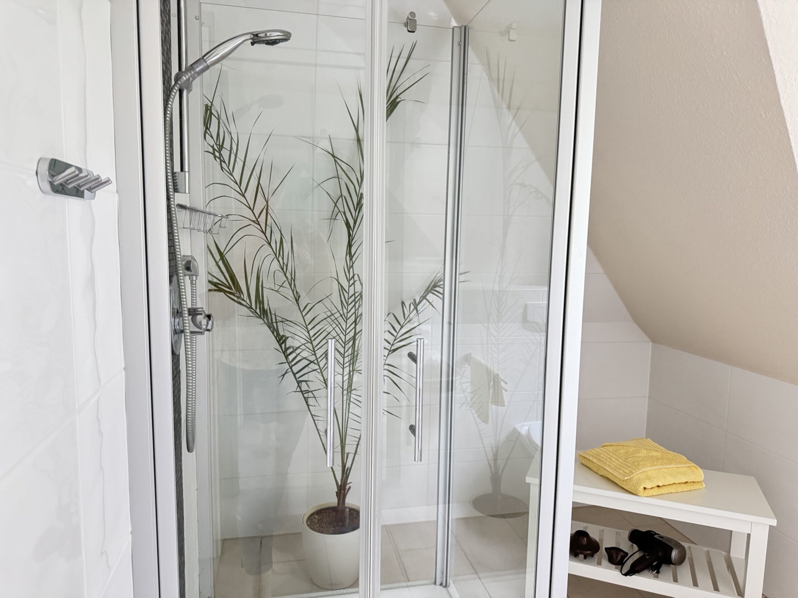 Glasdusche im Bad